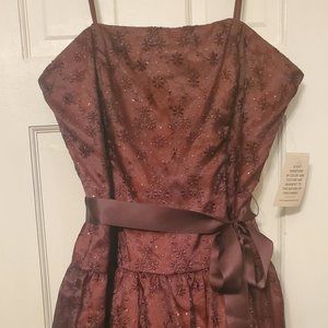 Jessica McClintock Strapless dress NWT Size12